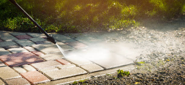 Professional Pressure Washing Services in Brocton, NY