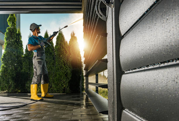Best Soft Washing for Delicate Surfaces in Brocton, NY